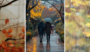 Summer SAD sufferers revel in return of 'gloomy' days