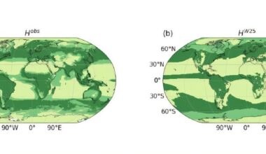 A better metric for estimating an exoplanet's habitability