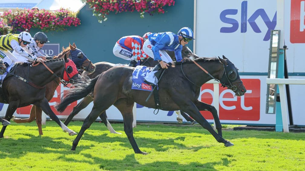 Elmonjed (blue): pictured winning at York last year, won at the same track again