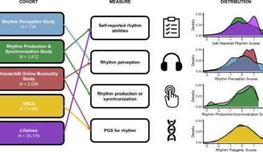 Genetic and behavioral links found between musical rhythm perception and developmental language disorders