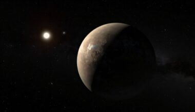 Constraining Proxima b's atmosphere, orbit and albedo with RISTRETTO