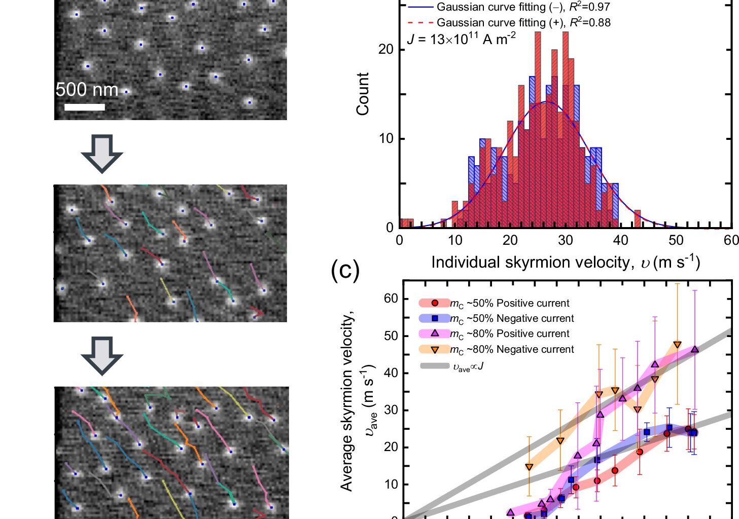 Physicists demonstrate first hybrid skyrmion tubes for higher-density quantum computing
