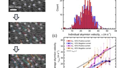 Physicists demonstrate first hybrid skyrmion tubes for higher-density quantum computing