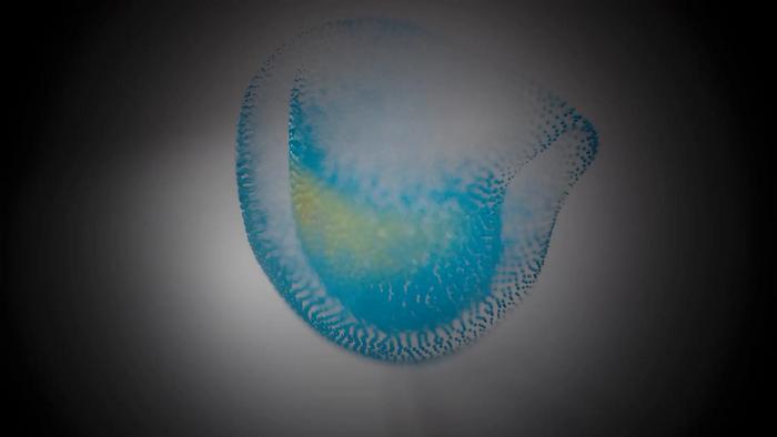 Representation of heart pumping