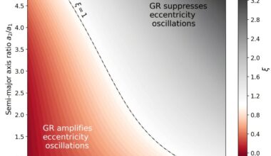 General relativity could make life possible on planets orbiting white dwarfs