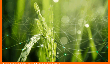 EU's efforts toward a circular, regenerative and competitive bioeconomy | Nieuwsbericht