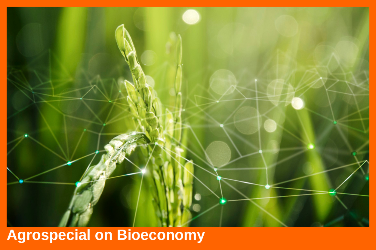 EU's efforts toward a circular, regenerative and competitive bioeconomy | Nieuwsbericht