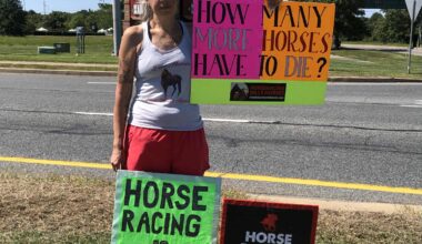 Big Nash Killed at Santa Anita