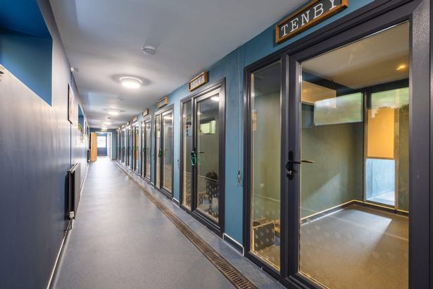 A corridor showing the dog kennels on the right, with glass fronted doors