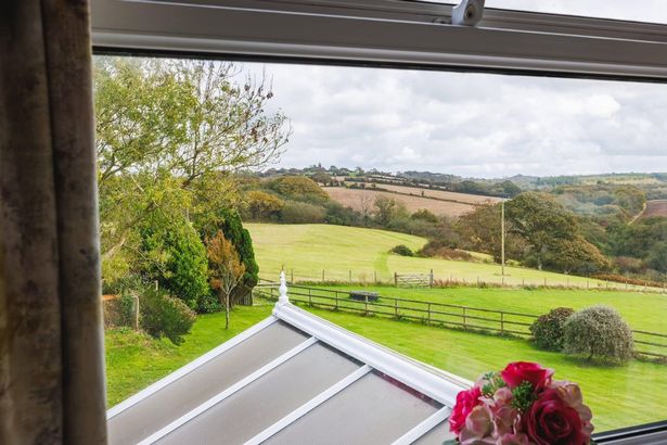 A grassland as seen from a house window