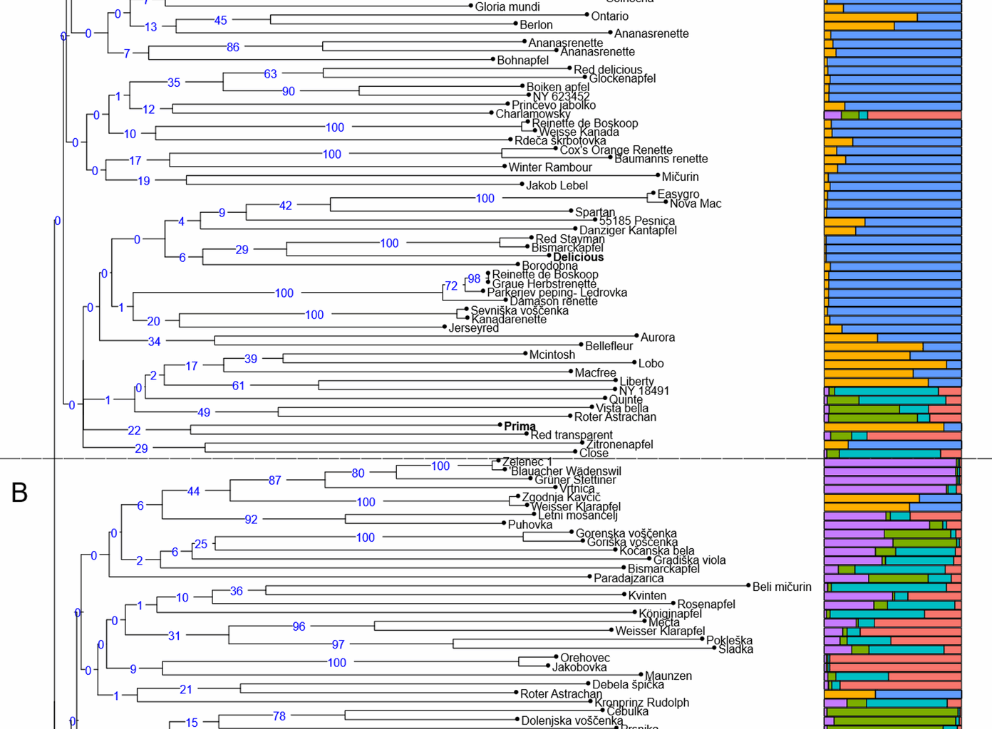 Cytometric and genetic analysis of Slovenian local apple genotypes | BMC Plant Biology