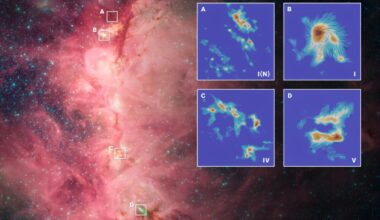 Gravity reshapes magnetic fields in star clusters