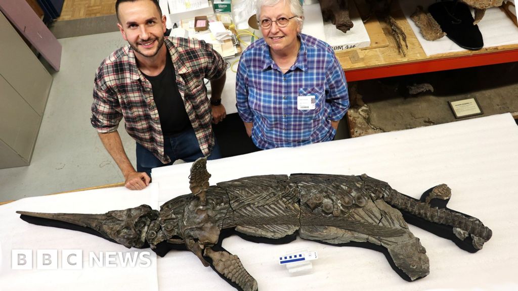 Fossil found on UK coast is unique 'sword dragon' species