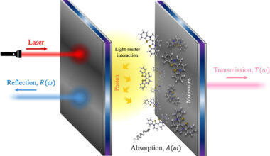 Quantum fluctuations found hidden beneath classical optical signals in polaritons
