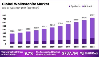 Wollastonite Market Size