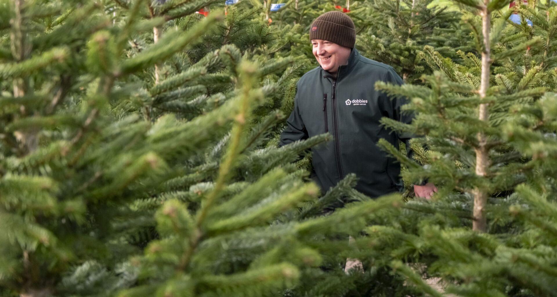 Dobbies Edinburgh to donate Christmas trees to local community – The NEN – North Edinburgh News