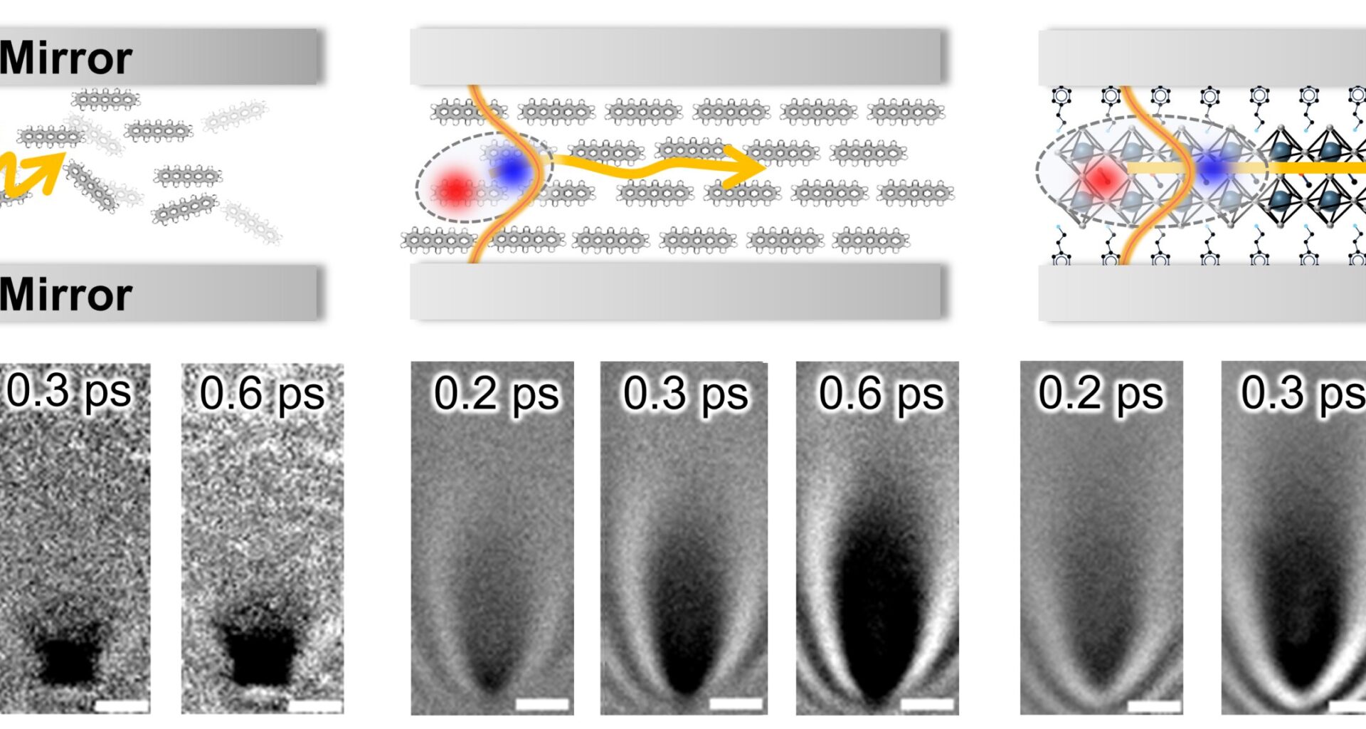 Rules for creating quasiparticles that can power optical computers, quantum devices