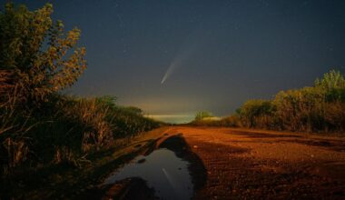 When And Where To See Comets Lemmon And SWAN
