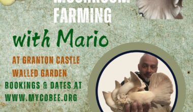 Community Mushroom Farming at Granton Castle Walled Garden – The NEN – North Edinburgh News