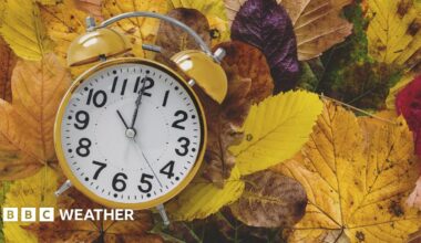 A stock photo of an old-fashioned analogue yellow alarm clock sitting on a pile of yellow, brown, green and red fallen leaves