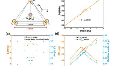 Strain engineering enhances spin readout in quantum technologies, study shows