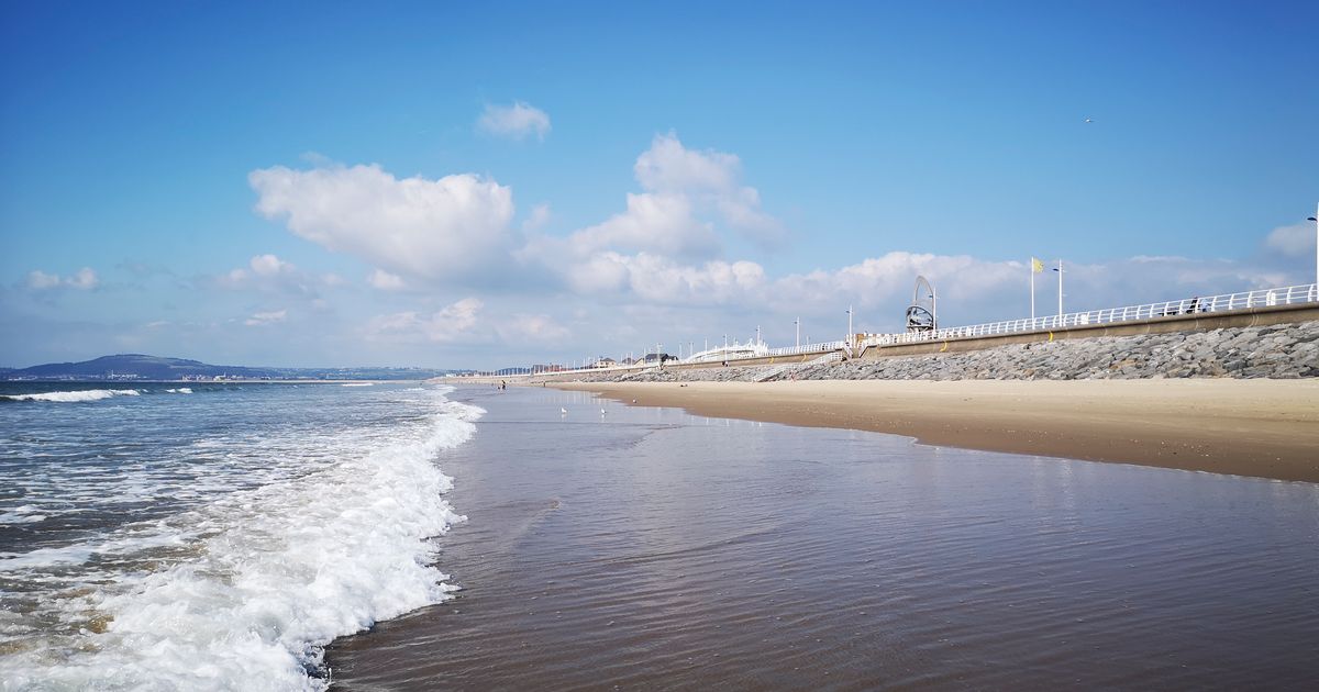 There is loads to do at Margam Country Park