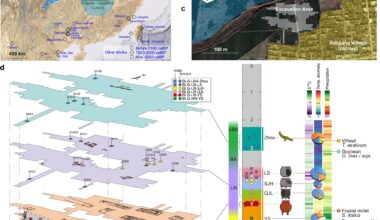 Ancient DNA reveals prehistoric connections and a patrilineal society in early China