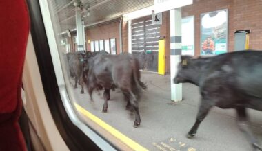 Manchester Evening News