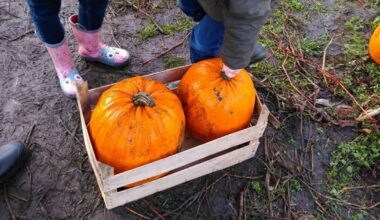 Manchester Evening News