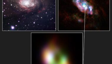 Greedy black hole feeds via two spiral arms