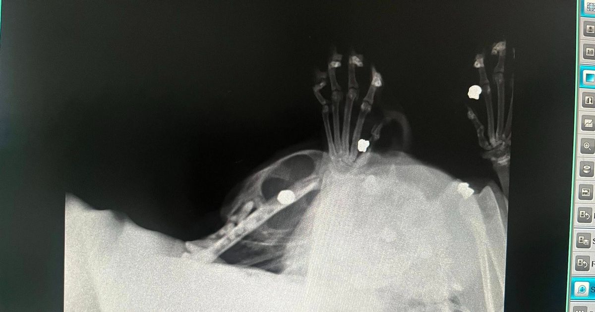 Manchester Evening News