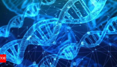 “Google for DNA”: Scientists create the world’s first and fastest genetic search engine |