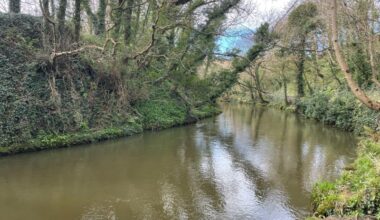 Manx Utilities carries out 'full clean' at St John's sewage works