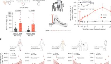 Stress alters metabolic hormone with health consequences, study shows