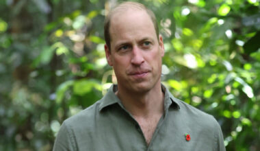 Prince William misses 'glory days' of search-and-rescue pilot