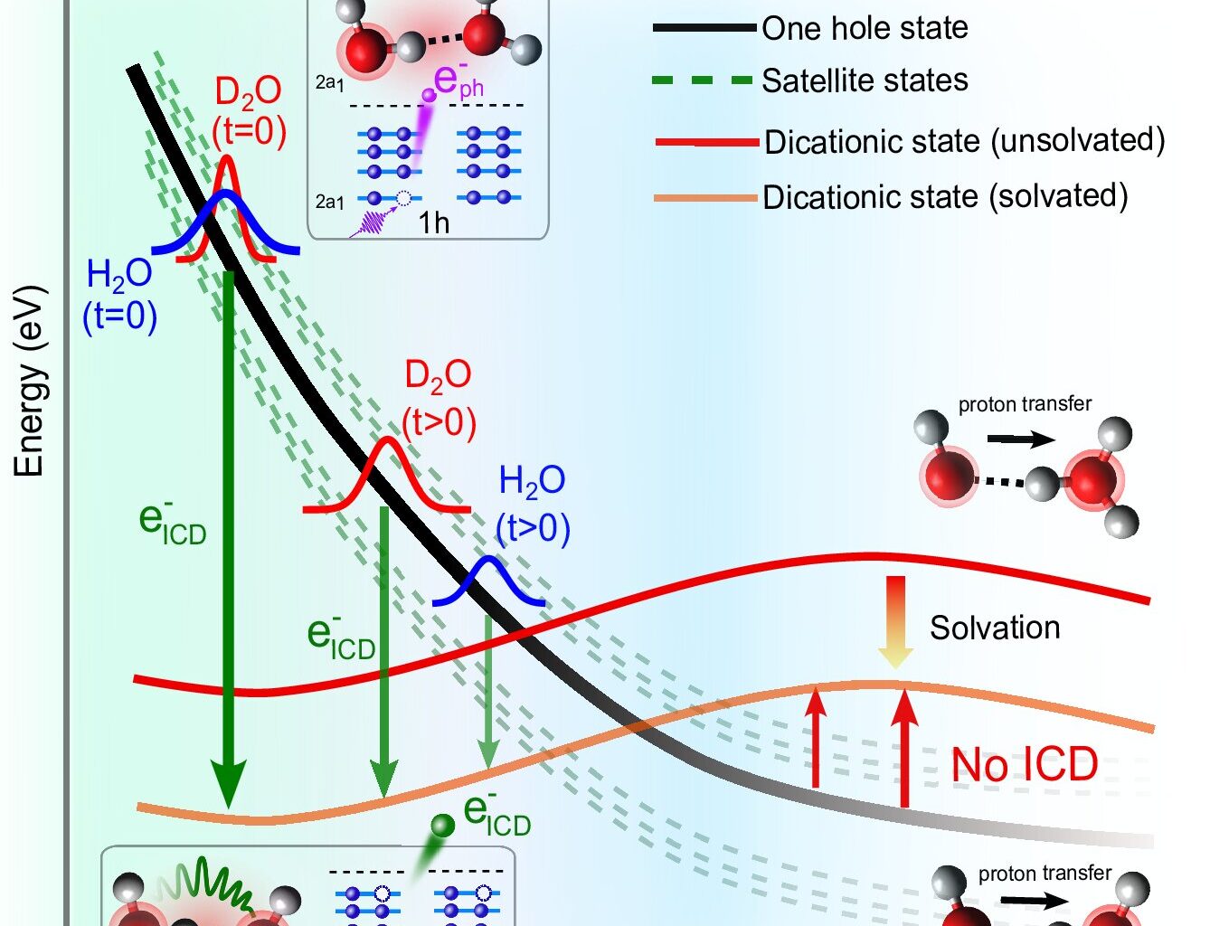 Generation of harmful slow electrons in water is a race between intermolecular energy decay and proton transfer