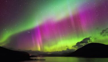 Manchester Evening News