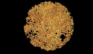 A hidden reset button for spins and qubits