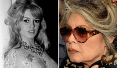 Brigitte Bardot, 91, rushed to hospital with 'serious' illness as well wishes flood in for French film icon