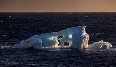 Southern Ocean's low-salinity Antarctic waters continue absorbing CO₂ despite climate model predictions