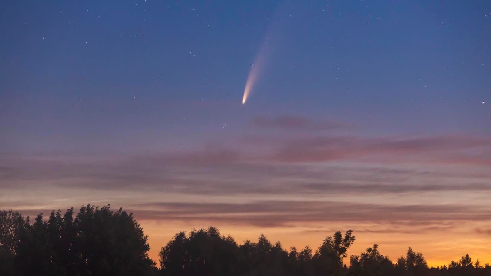 How To Find Comet Lemmon Saturday As It Gets Brighter