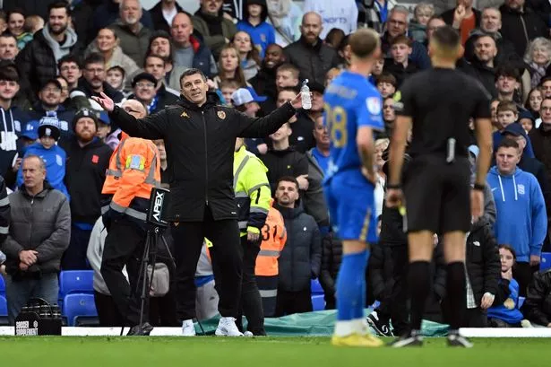 Sergej Jakirovic, manager of Hull City