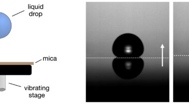 Tiny droplets that bounce for minutes without bursting might be able to do so indefinitely