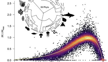 The 'universal thermal performance curve' that shackles evolution