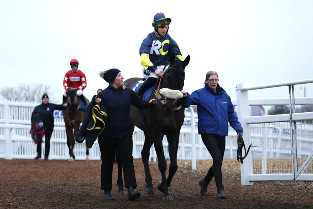 Wendigo can make a winning start in chases at Worcester on Wednesday, says Daily Star Racing Editor and tipping expert Jason Heavey
