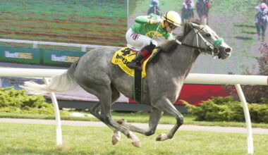 Woodbine Entertainment