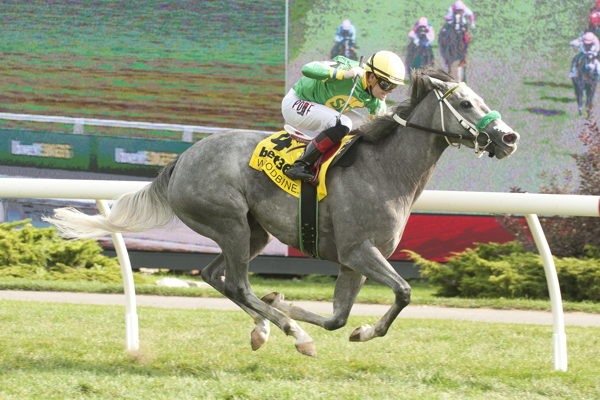 Woodbine Entertainment