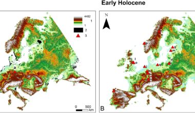 Neanderthals and Mesolithic hunter-gatherers shaped European landscapes long before agriculture, study reveals