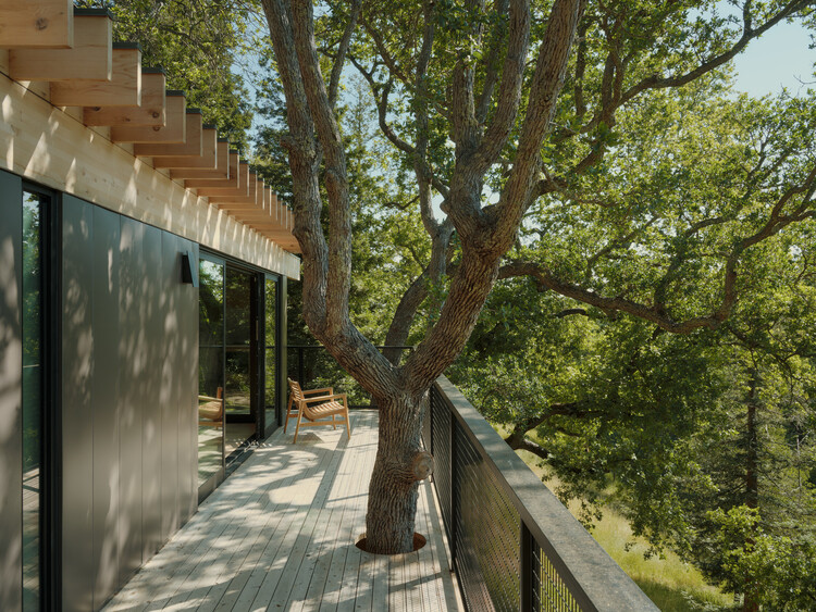 Pavilion in the Oaks / Mork-Ulnes Architects  - Exterior Photography, Wood, Deck