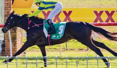 Independent review of thoroughbred racing in NSW